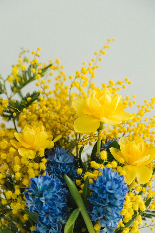Flowers by Klara Kulikkova on Unsplash